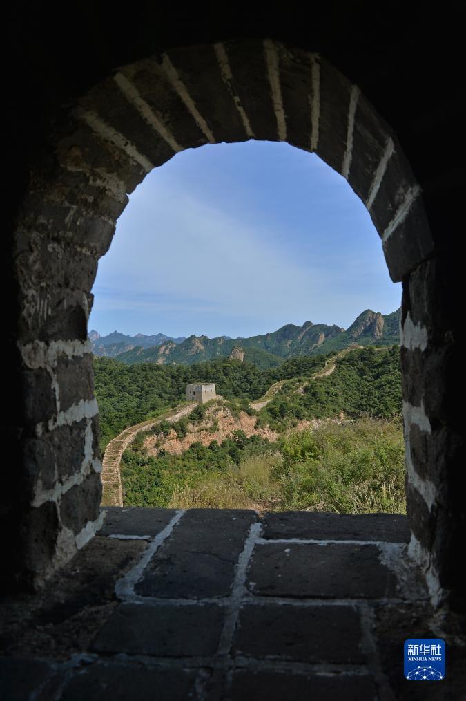 og视讯平台